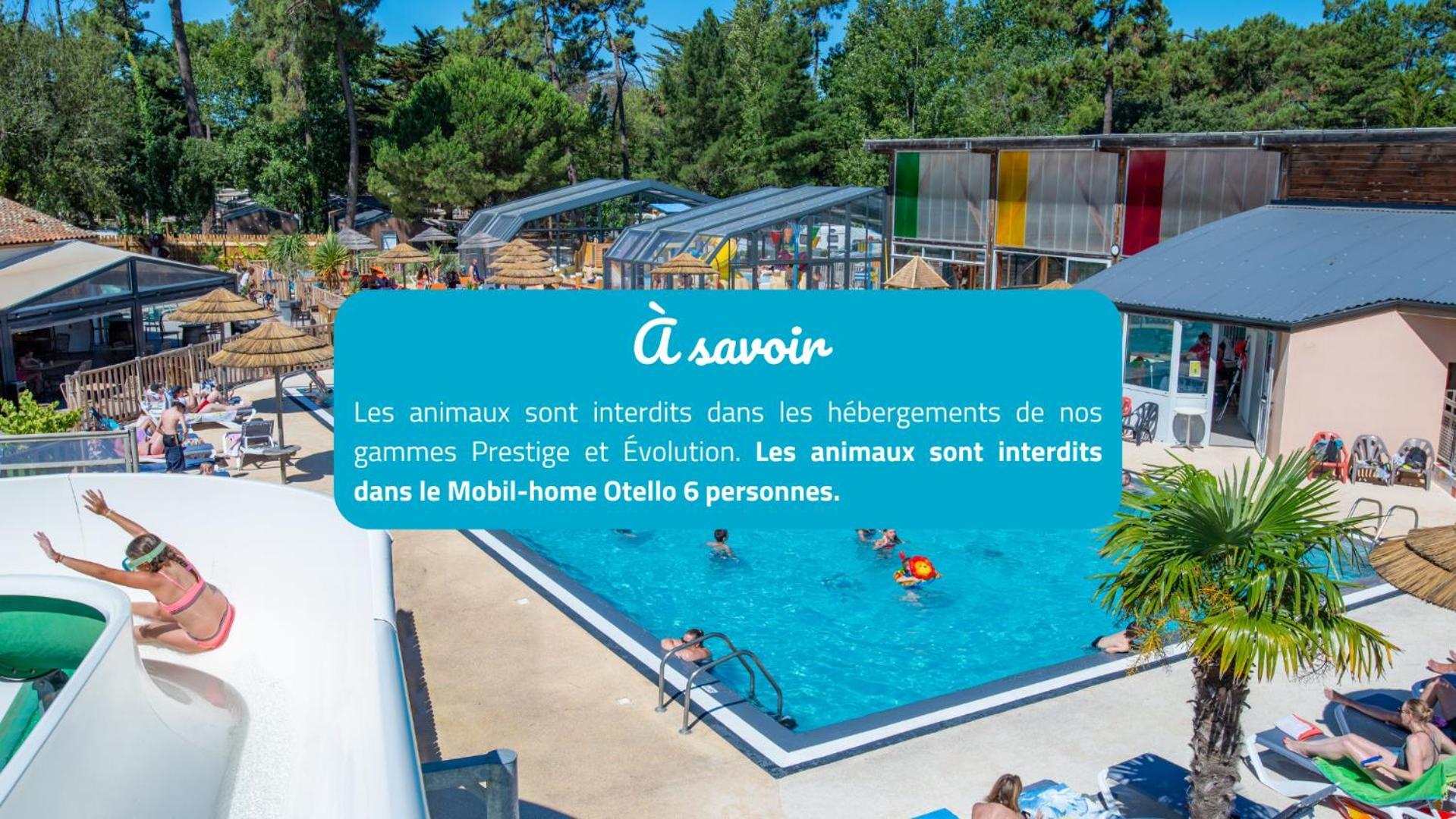 Camping Signol Boyardville Esterno foto